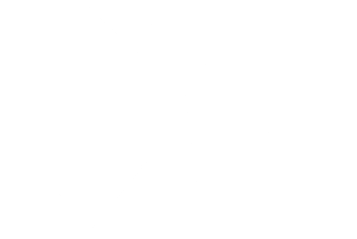 Merlin Aeronautics Logo